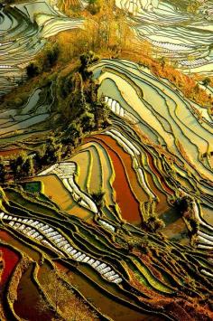 
                    
                        Yuanyang Rice Terraces, Yunnan, China
                    
                