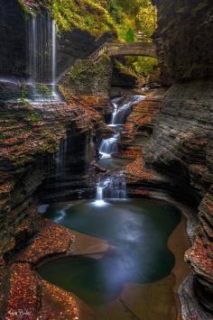 
                    
                        watkins glen
                    
                