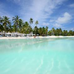 
                    
                        The Maldives  - An underwater photography dream
                    
                