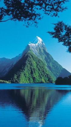 
                    
                        South Island, New Zealand
                    
                