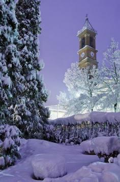 
                    
                        Winter night - Piedmont, Italy
                    
                