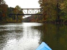 
                    
                        Kayaking the Flint river in Albany, Ga.
                    
                