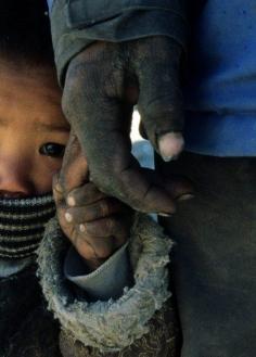 
                    
                        Sergi Barisashvili Nepal Tibet
                    
                