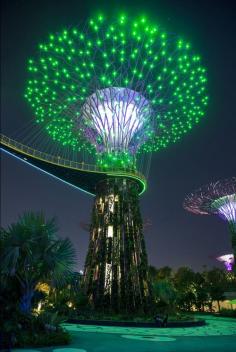 
                    
                        Gardens by the Bay, Marina Bay, Singapore
                    
                