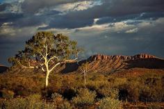 
                    
                        ghost gum storm | by Steve Strike . Central Australia McDonnell Ranges
                    
                