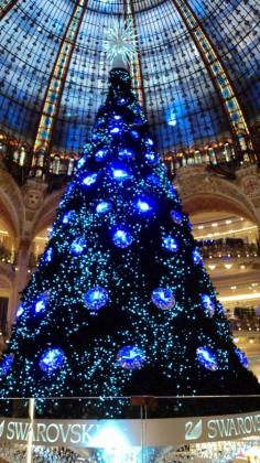 
                    
                        Galeries Lafayette, Christmas 2012
                    
                