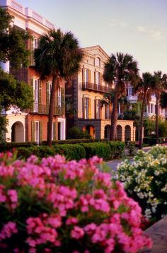 
                    
                        Beautiful Charleston www.travelandtran...
                    
                