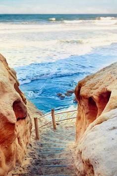 
                    
                        la jolla, California
                    
                