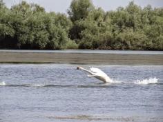 
                    
                        Danube Delta, Romania's paradise
                    
                