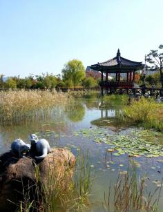 
                    
                        Beautiful fall colors in Daejeon, Korea
                    
                