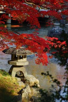 
                    
                        Maruyama park, Kyoto.
                    
                