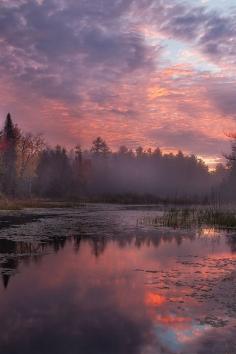 
                    
                        Taylor Pond, Adirondack State Park, NY, United States. - by Adam Baker
                    
                