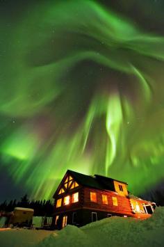 
                    
                        Beautiful Beast Above - Fairbanks, Alaska
                    
                