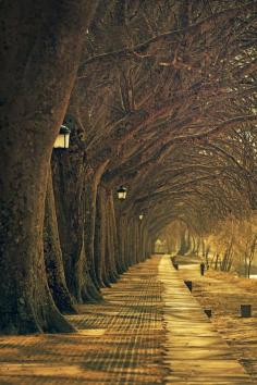 
                    
                        Lantern Walk, Ponte de Lima, Portugal
                    
                