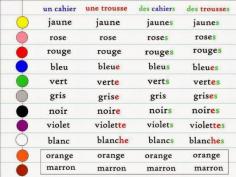 
                    
                        Les Adjectifs De Couleurs
                    
                