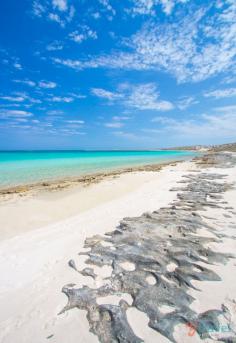 
                    
                        Coral Bay, Western Australia
                    
                