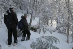 
                    
                        Top Ten Snowshoeing Parks & Trails in New and New Jersey Photo:Balsam Mountain, Catskill High Peak. Photo by Daniel Chazin.
                    
                