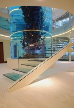 
                    
                        A Staircase That Wraps Around an Aquarium | 36 Things You Obviously Need In Your New Home
                    
                