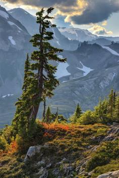 
                    
                        This shot was taken up at Artist Point in the Mt. Baker Wilderness very near to the Mt. Baker Ski Area just outside North Cascades National Park in Washington.
                    
                