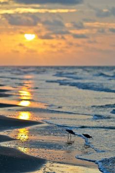 
                    
                        about-usa: “ Crystal Beach - Texas - USA (von DanielJames) ”
                    
                