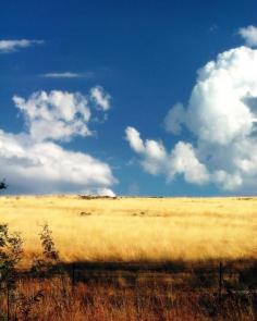 
                    
                        Steve Anderson:  Summer.   Near Beechworth Victoria, Australia
                    
                