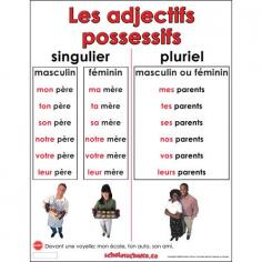 
                    
                        Les adjectifs possessifs.
                    
                