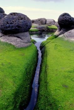 
                    
                        Taiga Mossy Inlet, Iceland
                    
                