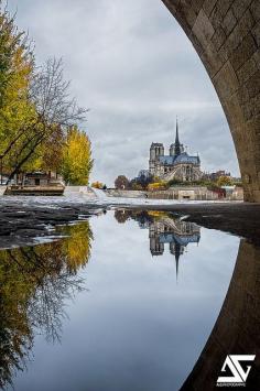 
                    
                        Autumn's End  by A.G. Photographe
                    
                