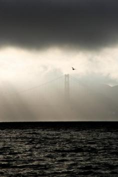 
                    
                        Golden Bridge, San Francisco _ J. Hilton Photography
                    
                