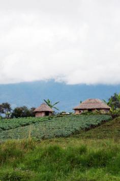 
                    
                        Papua New Guinea: One of the Pacific’s most isolated corners opens up.
                    
                