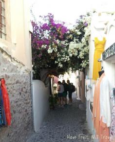 
                    
                        Beautiful streets of Santorini
                    
                