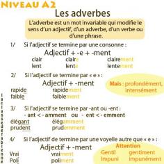 
                    
                        Les adverbes en -ment
                    
                