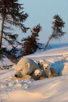 
                    
                        Watching Day End by Nikolai Zinoviev
                    
                