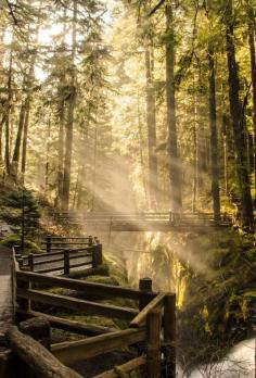 
                    
                        Sol Duc Falls, Washington photo by aditi
                    
                