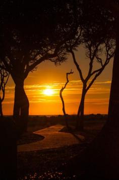 
                    
                        Yellow Brick Road - Fort Fisher sunrise #USA
                    
                