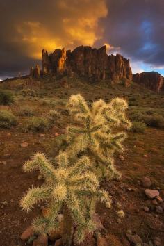 
                    
                        Superstition Mountains, Arizona Luiz Arroyo
                    
                