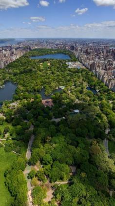 
                    
                        new york, central park, top view
                    
                