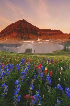 
                    
                        Mt. Timpanogos, Utah | Emily Dickey
                    
                