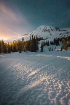 
                    
                        Mt. Rainier, Washington Bogdan Vasilić
                    
                