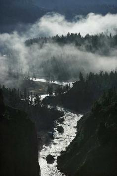 
                    
                        “Yellowstone National Park, United States by Michael S. Quinton ”
                    
                