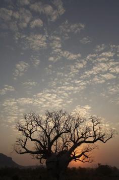 
                    
                        Darwin Australia - Beautiful sunset over the landscape  #australia #darwin #fun #thingstodo #history #outback #4wd #desert #worldwarii #travel #traveltherenext #sunset
                    
                