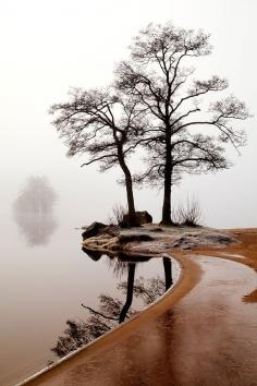 
                    
                        Silence ~ by Anne Ståhl
                    
                