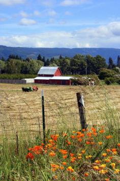 
                    
                        Hood River - Oregon - USA (von Slideshow Bruce)
                    
                