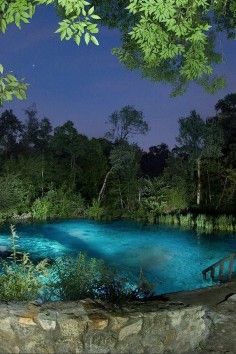 
                    
                        remarkably clear spring-fed river~Ichetucknee Springs State Park  FL
                    
                