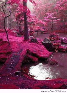 
                    
                        Bridges Park, Ireland | Awesome place to visit
                    
                