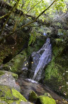 
                    
                        Able Tasman, New Zealand | www.gettingstampe...
                    
                