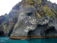 
                    
                        Elephant Rock
                    
                