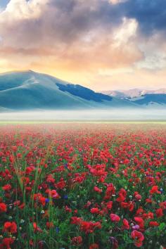 
                    
                        Castelluccio, Italy | alexmatrix
                    
                