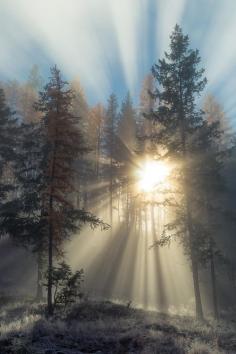 
                    
                        Sunrise Sunbeams
                    
                