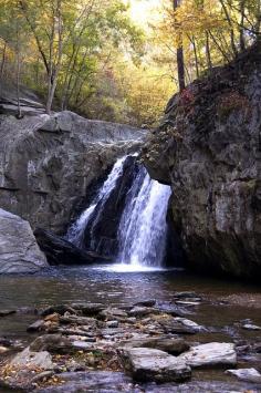 
                    
                        Waterfall of Foliage by OmegaMoth
                    
                